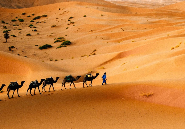 Deserto do Saara – Merzouga